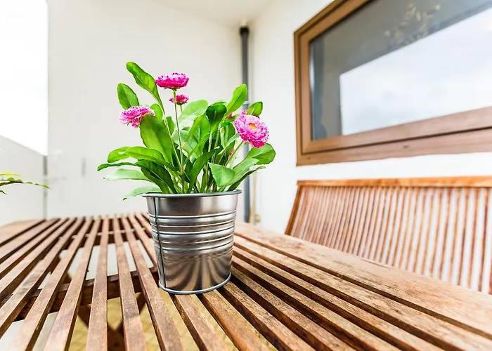 Appartement Neubrueck *